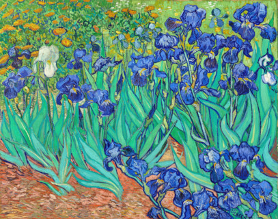 Irises (1889), painting by Vincent Willem van Gogh (born March 30, 1853 in Groot-Zundert, died July