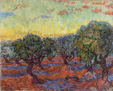 Olive Grove, Saint-REmy (1889), Olive Grove, painting by Vincent Willem van Gogh (born March 30,