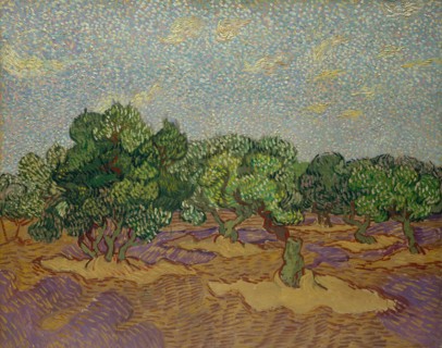 Olive Trees (1889)