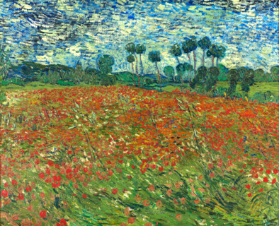 Poppy field, painting by Vincent Willem van Gogh (born March 30, 1853 in Groot-Zundert, died July