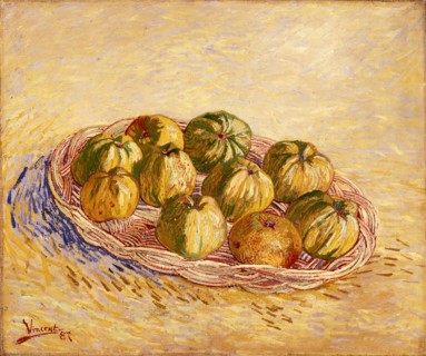 Still Life