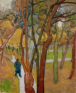 The Garden of Saint Pauls Hospital (The Fall of the Leaves)