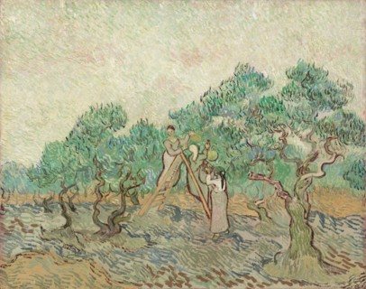 The Olive Orchard (1889)