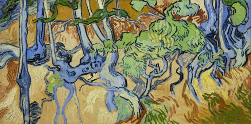 Tree roots