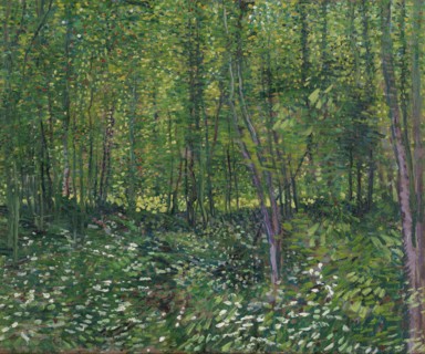 Trees and Undergrowth (1887)