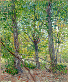 Trees