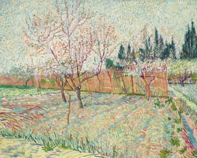 Orchard with Cypresses (1888)