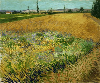 Wheatfield (1888)