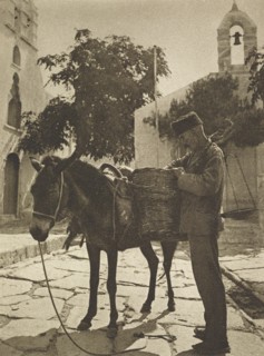 Greece, Fruit Vendor, 1960 circa