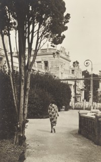 Jugoslavia, Croatia, garden of The Hotel Kvarner, Abbazia, Opatija, 1920 circa