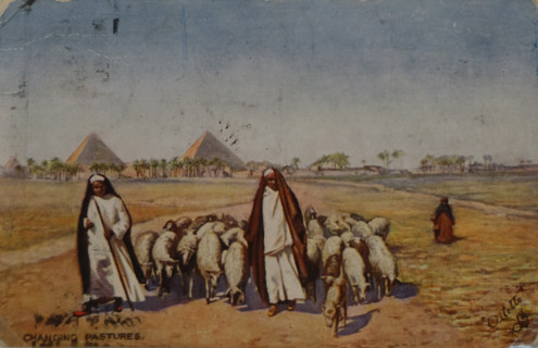 Changing Pastures