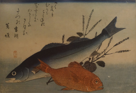 Sea Bass and Goldeneye Fish from the 'Assortment of Fish' series