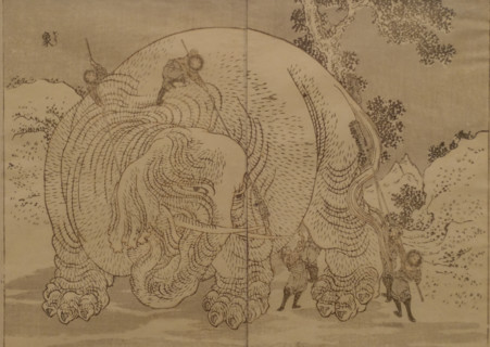 Elephant