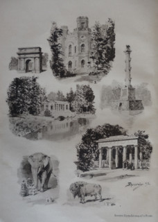 Views of the Tsarskoe Selo