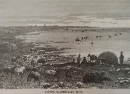 Caspian Sea coast