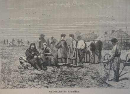 Haymaking in Ukraine