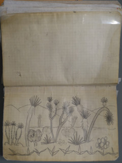 Drawing of cacti against the backdrop of mountains