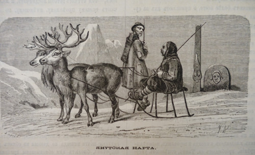 Yakut sled