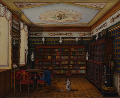 Library of Count Henri in Romanov