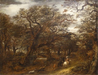 Forest landscape