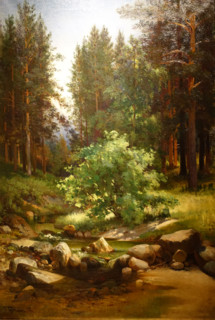 Forest river