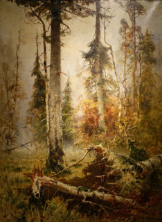 Forest