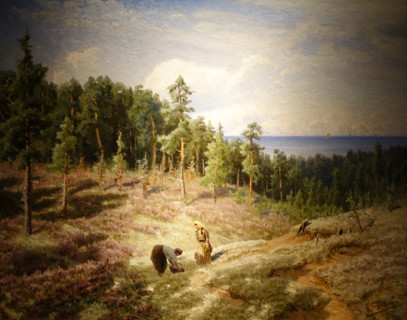 Herbs collectors