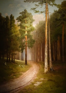 Forest