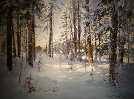 Winter forest
