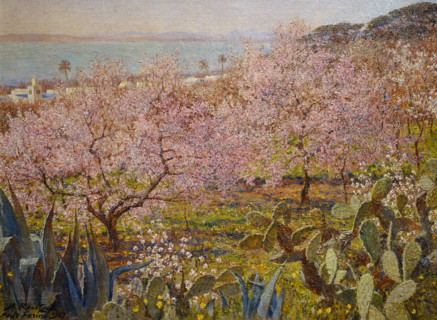Almond trees