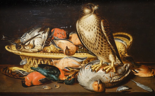Falcon and the wildfowl