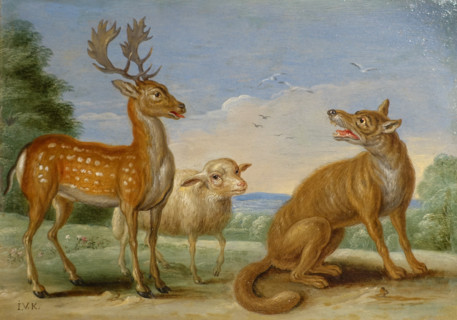 Deer