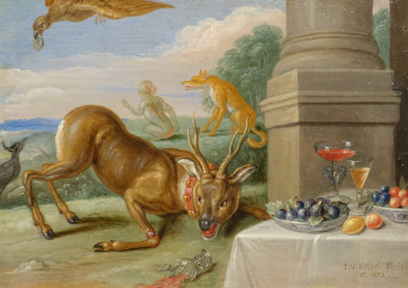 Sick Roe Deer