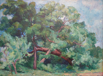 Catherine Park