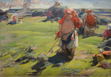 Hay Harvest