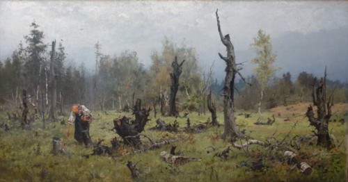 A Fire Ravaged Wood