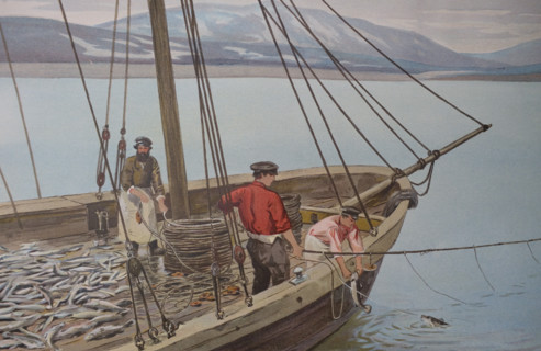 Cod fishing