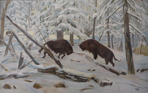 Belovezhskaya Pushcha