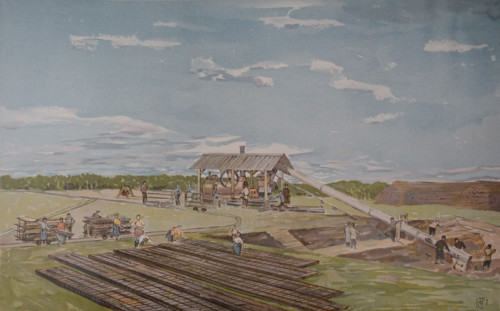 Peat processing