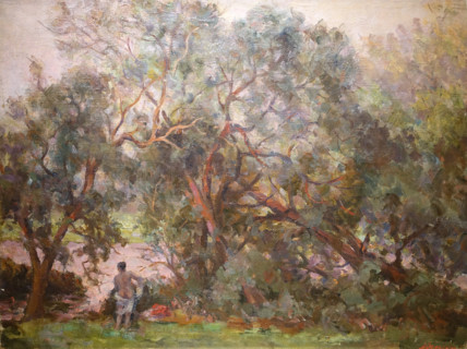 Willows