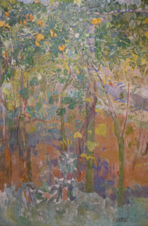Orange Trees