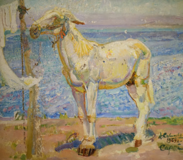 White Mule by the Sea