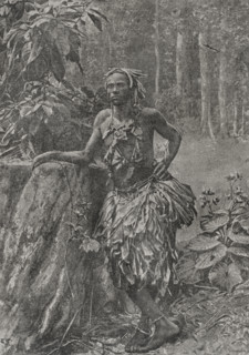 Lower Congo Chief in royal robes. Photogravure by Andre & Sleigh from a photograph by the Rev. S.D.