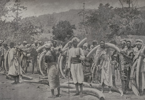 Africa. Elephant tusks brought from the inland by Captain Lugard. Dualla, a famous caravan leader,