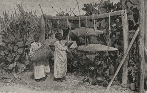 Abyssinia. Call to prayer. Photogravure from a photograph by Dr. G. Schweinfurth. ""La conquista de