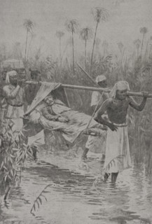 David Livingstone (1813-1873). Scottish explorer. He dedicated his life exploring the African