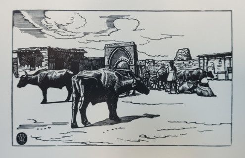 Yerevan. Buffaloes. 1929. Pavel Aleksandrovich Shillingovsky (1881-1942).
