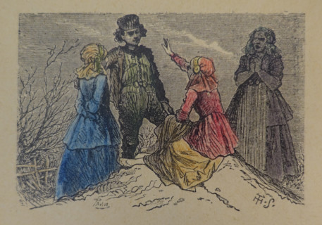 Illustration from the book The Silver Skates. Drawings by Theophile Schuler (1821-1878). 1870.