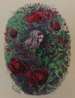 Illustration from the book The Silver Skates. Drawings by Theophile Schuler (1821-1878). 1870.