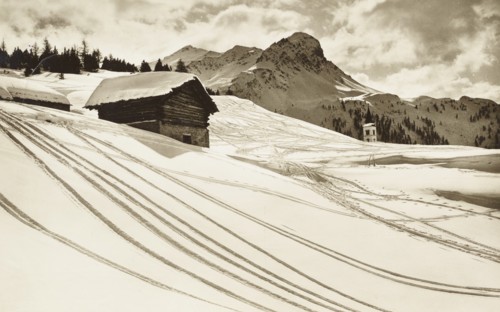 Saint Moritz, Skiefer in Maloja